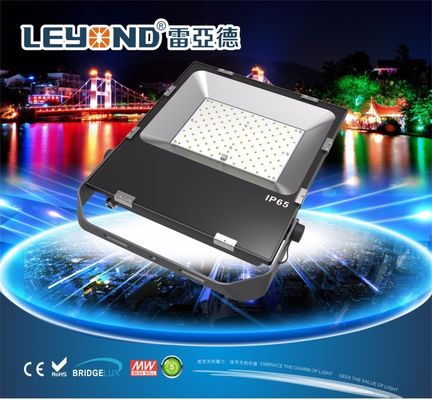 Factory Price IP66 Waterproof LED Flood Lights SMD LED 100W CE RoHS approved Led Flood light