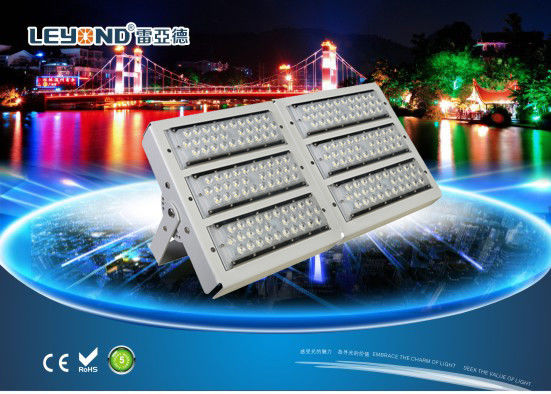 AC85-265V Waterproof LED Flood Lights Outdoor Luminaire Tunnel Lamp Meanwell Driver