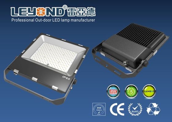 IP66 Waterproof Outdoor LED Flood Lights With  Chips plus Meanwell driver